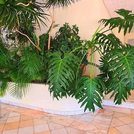 Comfort Zone Apartment