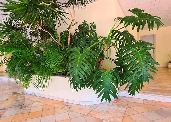 Comfort Zone Apartment